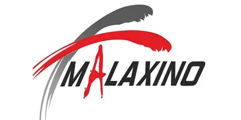 Malaxino Services